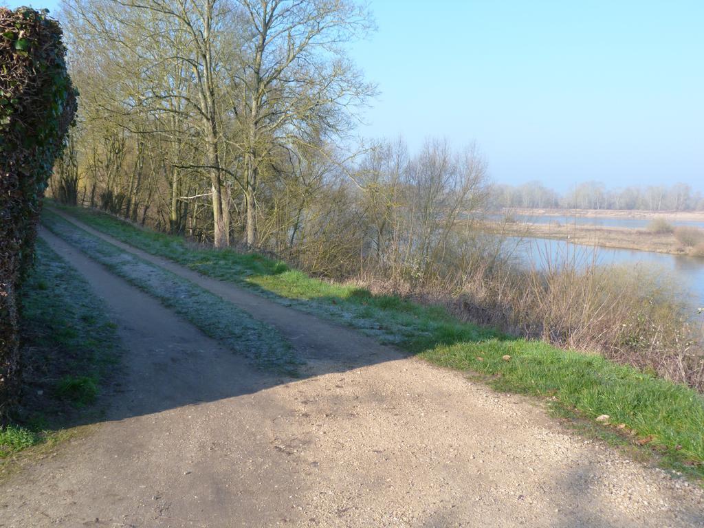 Les Gites De Colliers Muides-sur-Loire Ruang foto
