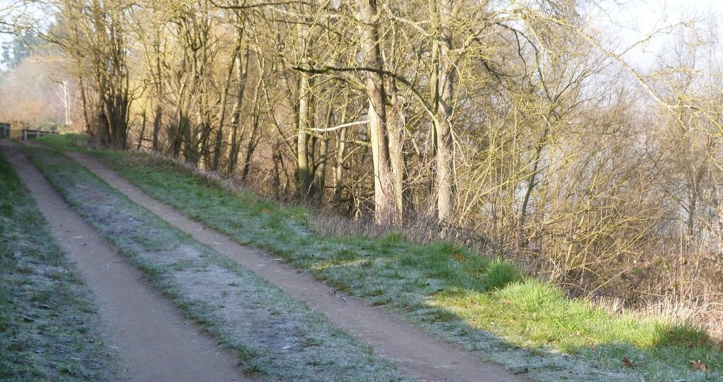 Les Gites De Colliers Muides-sur-Loire Ruang foto