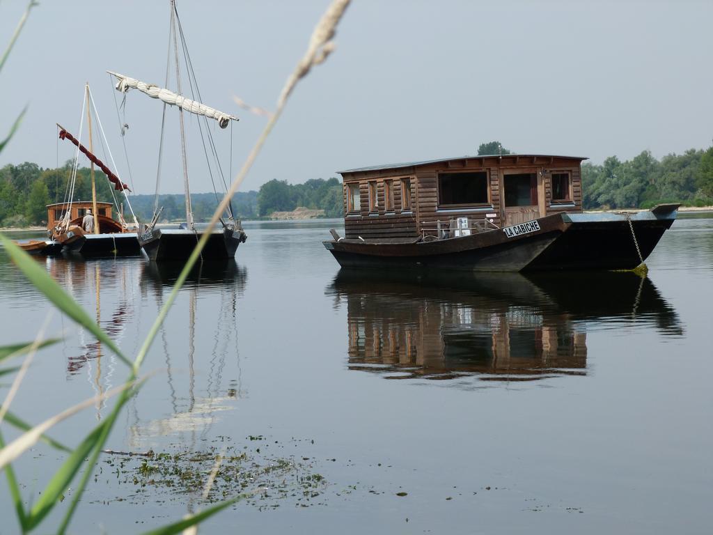 Les Gites De Colliers Muides-sur-Loire Bagian luar foto